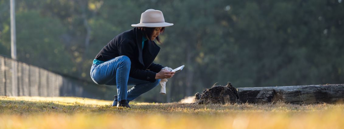 Fire ant treatment banner